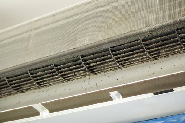 Best Industrial Air Duct Cleaning in Carle Place, NY